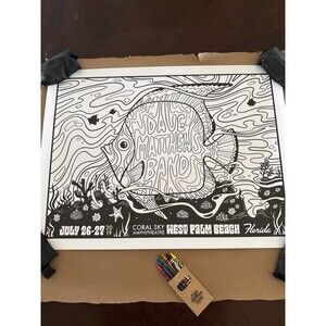 DAVE MATTHEWS BAND COLOR YOUR OWN POSTER 7/26 & 27/19 - Coral Sky Amp WPB, FL